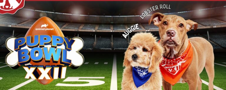 PuppyBowl XXII